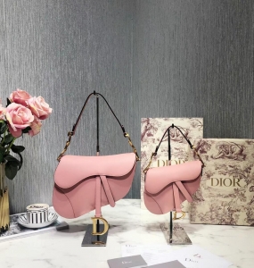 Dior saddle bag 2022 No.4 (Nhiều Màu)