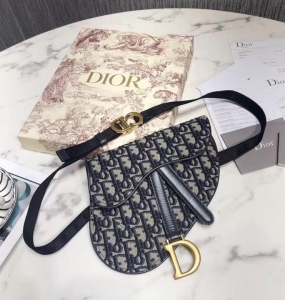 Dior saddle bag 2022 No.5 (Nhiều Màu)