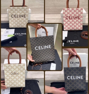 TÚI XÁCH CELINE C256 NO.17