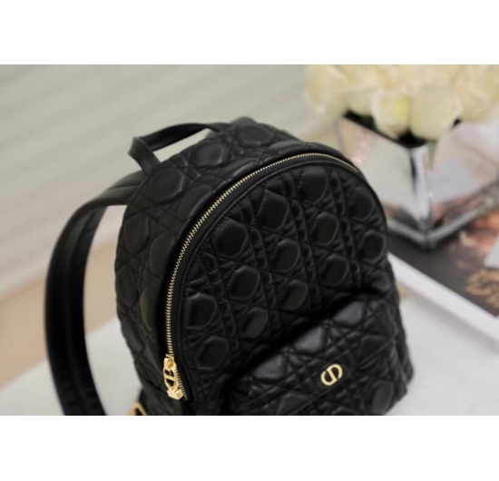 Túi Dior Mini backpack