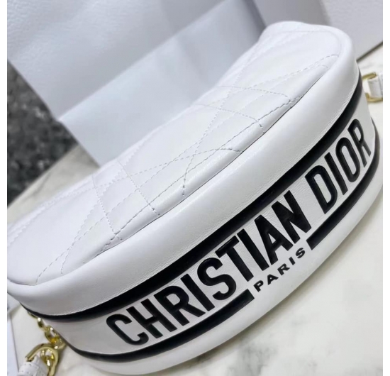 Túi Xách Christian Dior VIBE