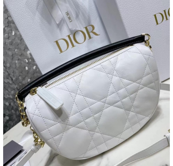 Túi Xách Christian Dior VIBE