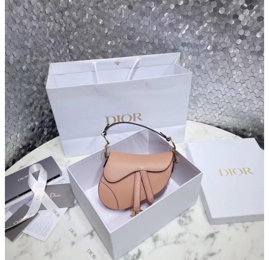 Dior saddle bag 2022 No.3