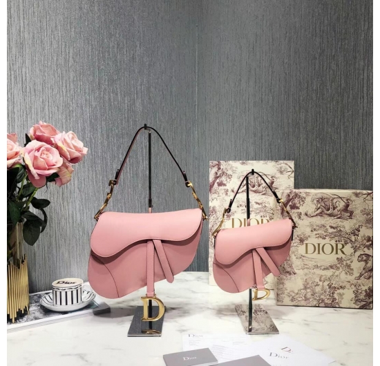 Dior saddle bag 2022 No.4 (Nhiều Màu)