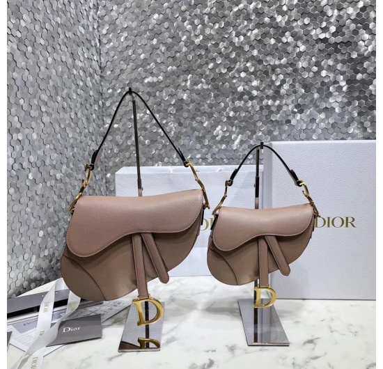 Dior saddle bag 2022 No.4 (Nhiều Màu)