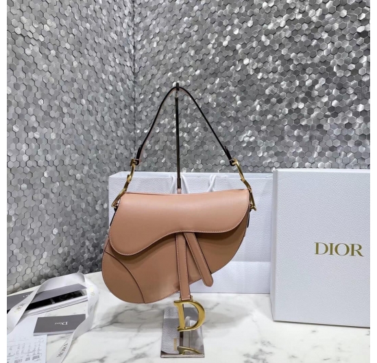 Dior saddle bag 2022 No.4 (Nhiều Màu)