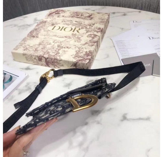 Dior saddle bag 2022 No.5 (Nhiều Màu)