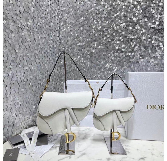 Dior saddle bag 2022 No.4 (Nhiều Màu)