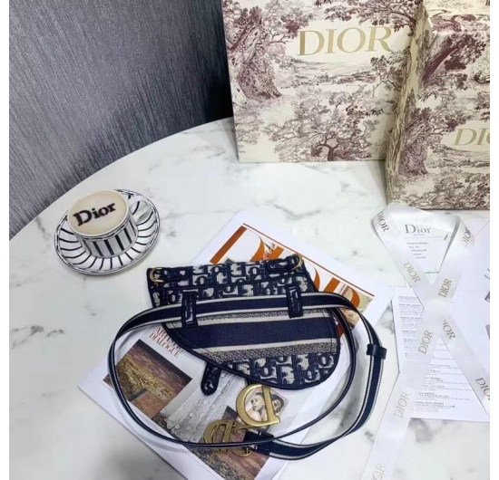 Dior saddle bag 2022 No.5 (Nhiều Màu)