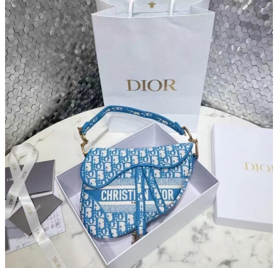 Dior saddle bag 2022 No.3