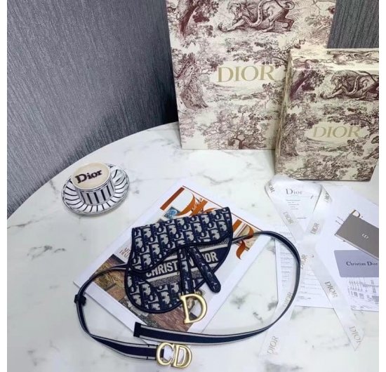 Dior saddle bag 2022 No.5 (Nhiều Màu)