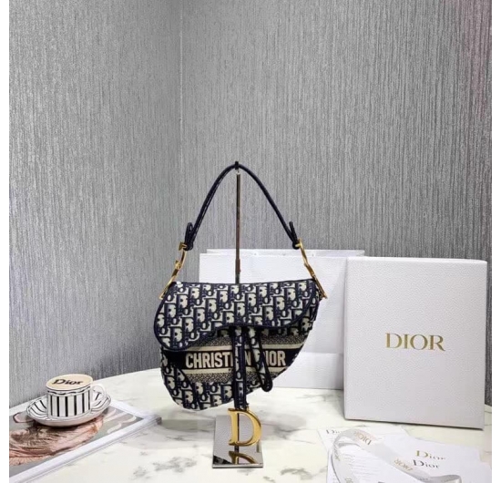 Dior saddle bag 2022 No.3