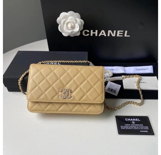 TÚI XÁCH CHANEL WOC-C300