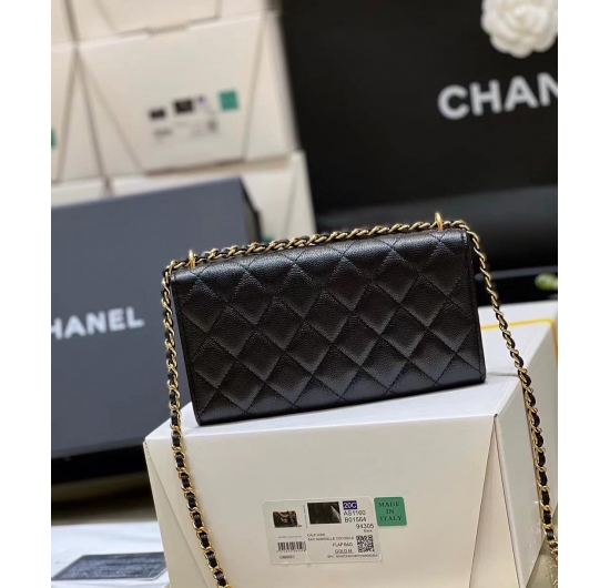 TÚI XÁCH CHANEL MINI- C101