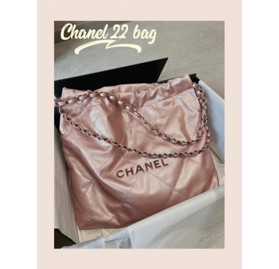 TÚI XÁCH CHANEL VIRGINIA VIARD-CN300