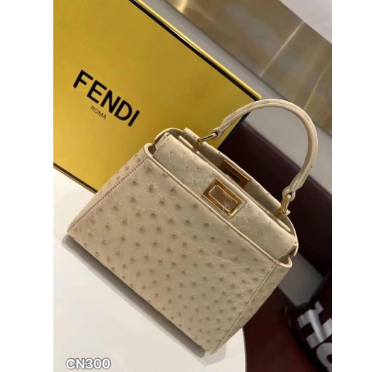 TÚI XÁCH FENDI CN300 NO.2